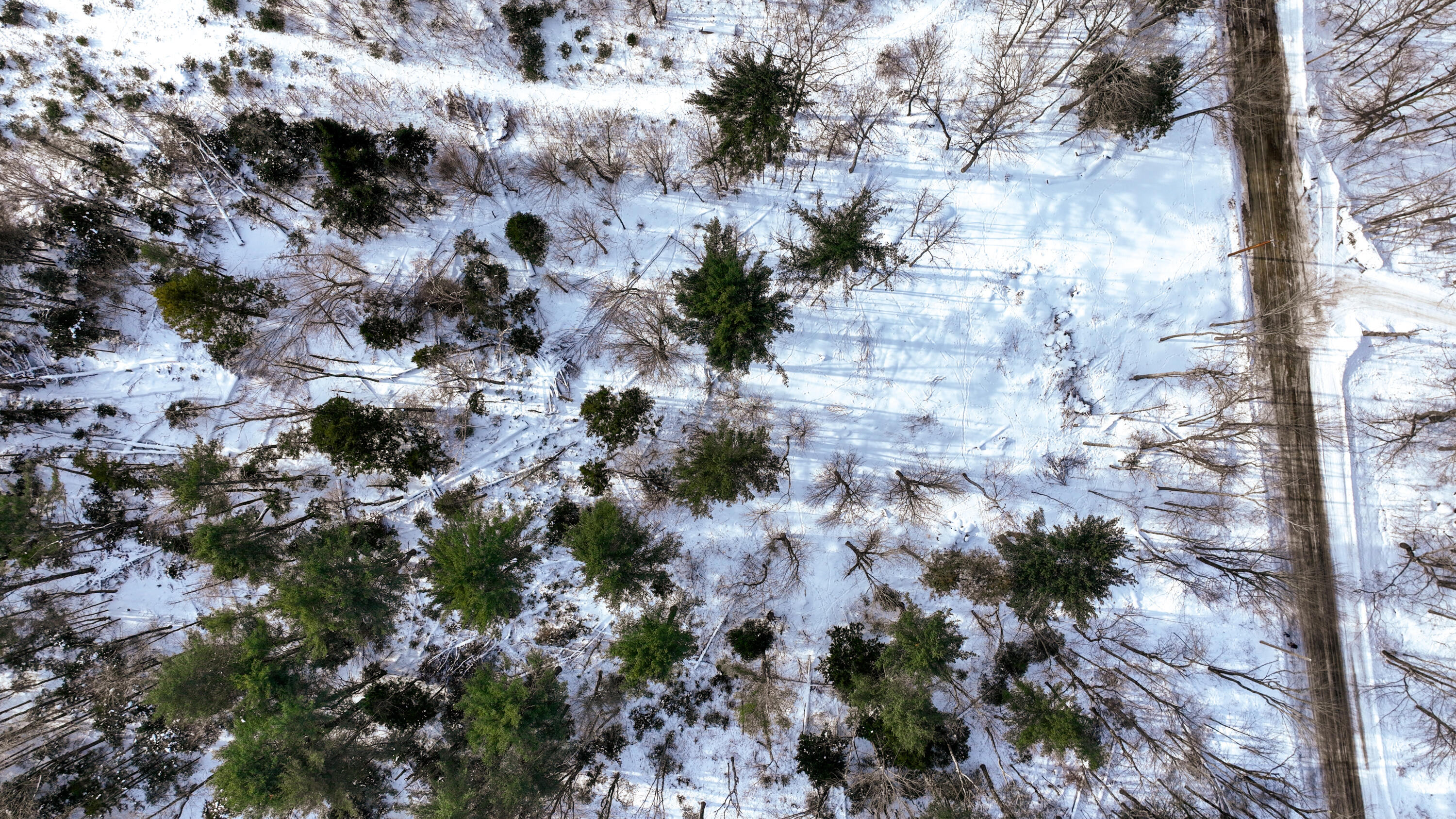 20 Skyscraper Hill Road Brooks, ME 04921 - Photo 14 of 20 dji_fly_20260201_101404_77_1770165170119