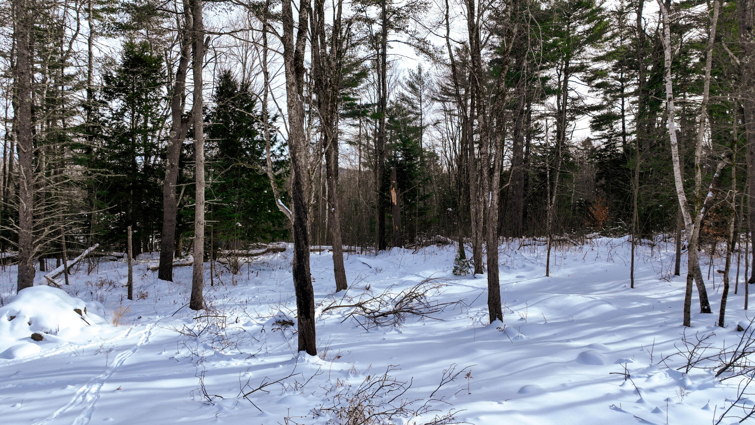 20 Skyscraper Hill Road Brooks, ME 04921 - Photo 2 of 20 dji_fly_20260201_102438_120_177016505460