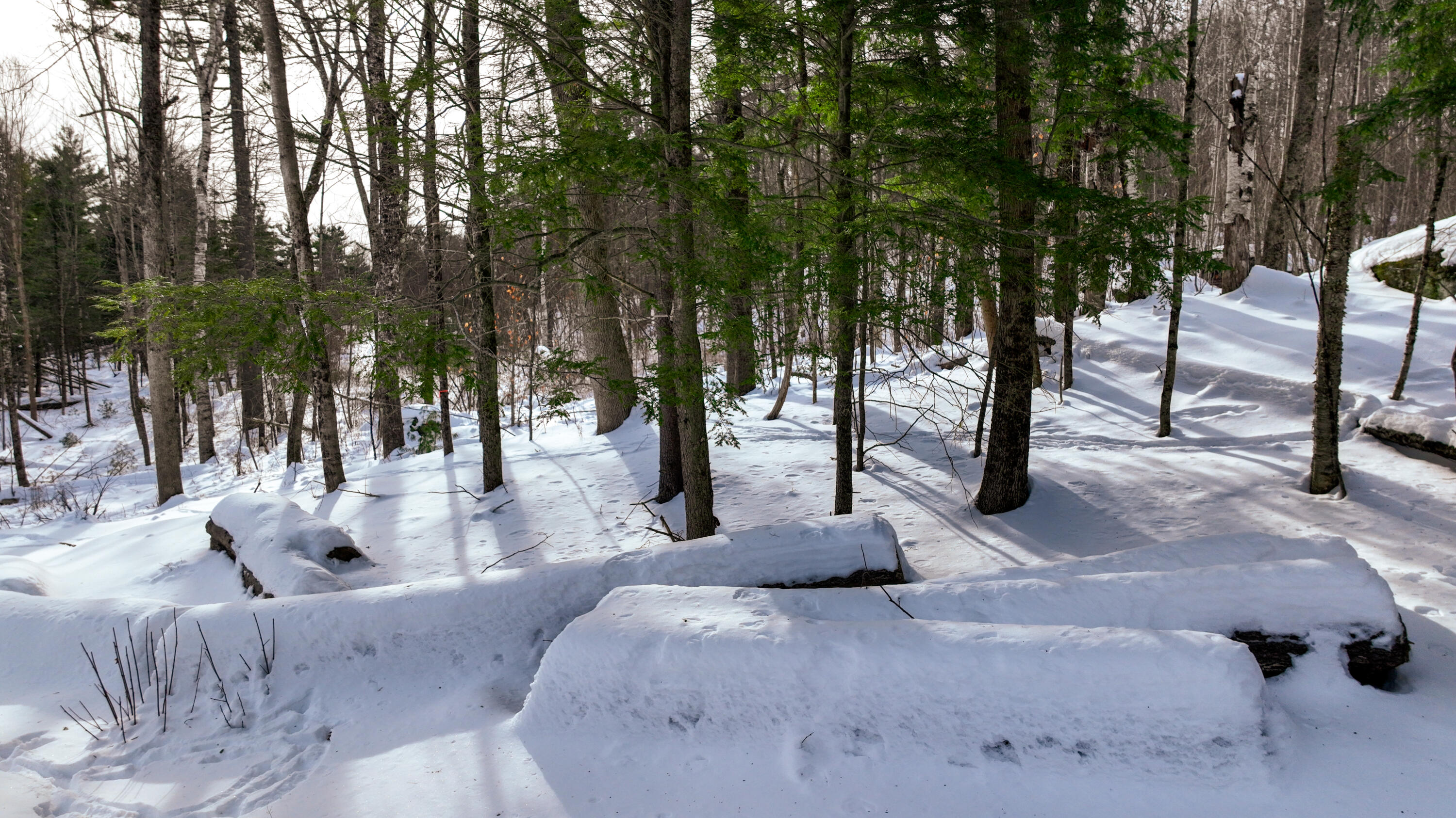 20 Skyscraper Hill Road Brooks, ME 04921 - Photo 3 of 20 dji_fly_20260201_102410_118_177016505763