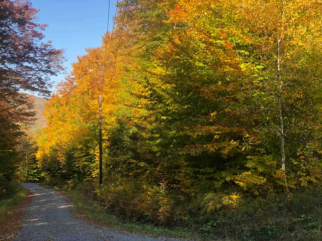 $199,000 | 0 Andrea Drive, Unit PARCEL ID 00PR32025R; 00PR32023R, Stamford, VT 05352