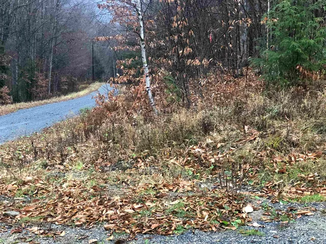 $199,000 | 0 Andrea Drive, Unit PARCEL ID 00PR32025R; 00PR32023R, Stamford, VT 05352