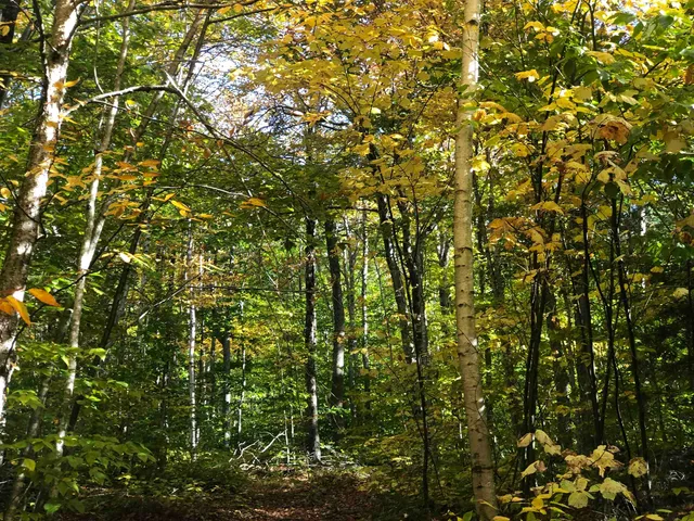 $199,000 | 0 Andrea Drive, Unit PARCEL ID 00PR32025R; 00PR32023R, Stamford, VT 05352