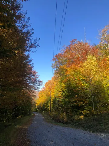 $199,000 | 0 Andrea Drive, Unit PARCEL ID 00PR32025R; 00PR32023R, Stamford, VT 05352