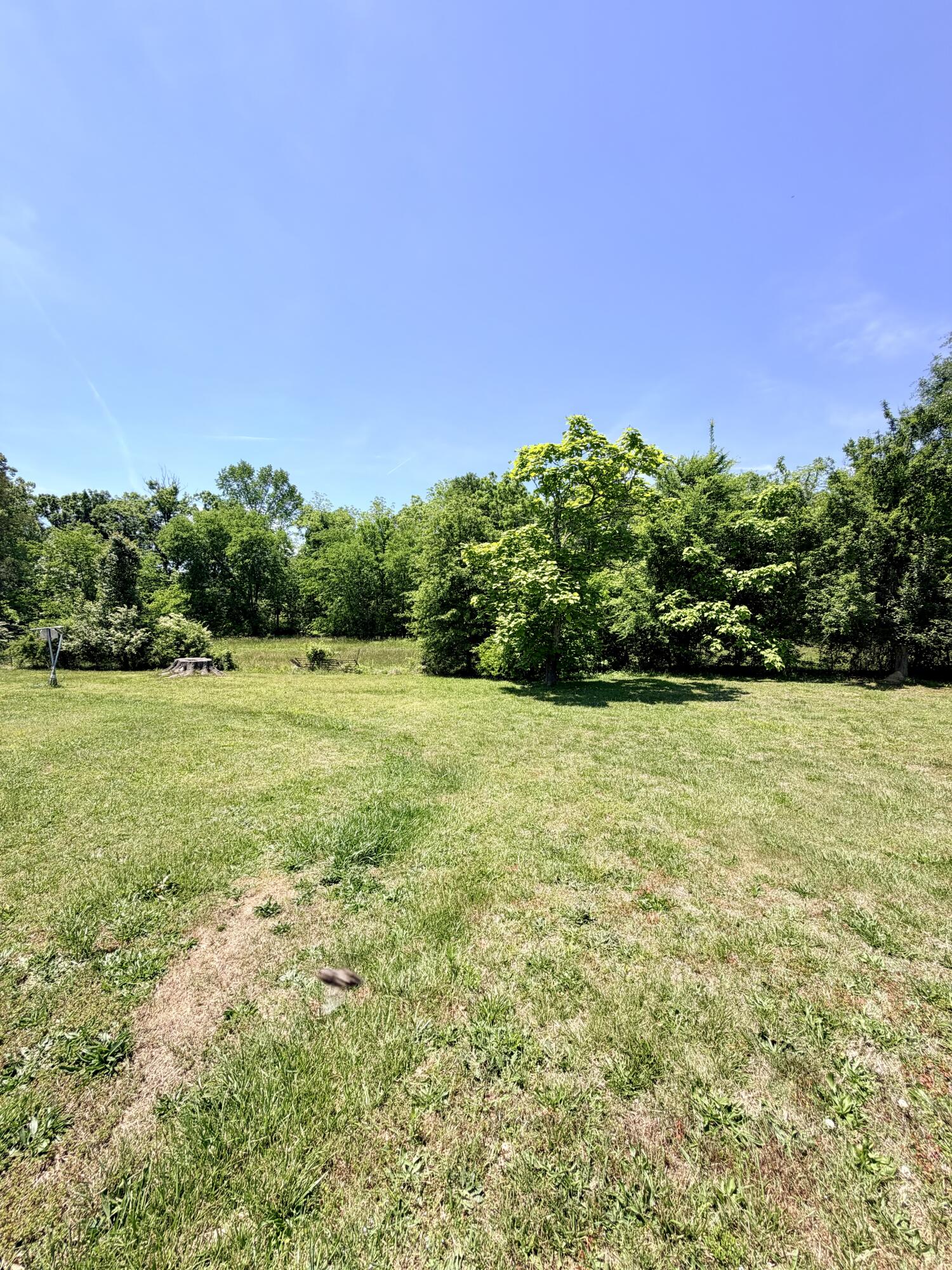 4259 Mt Pleasant Road Cohutta, GA 30710 - Photo 23 of 23 IMG_2001