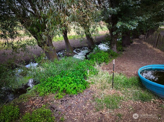 154 Dreamscape Road Walla Walla, WA 99362 - Photo 38 of 40