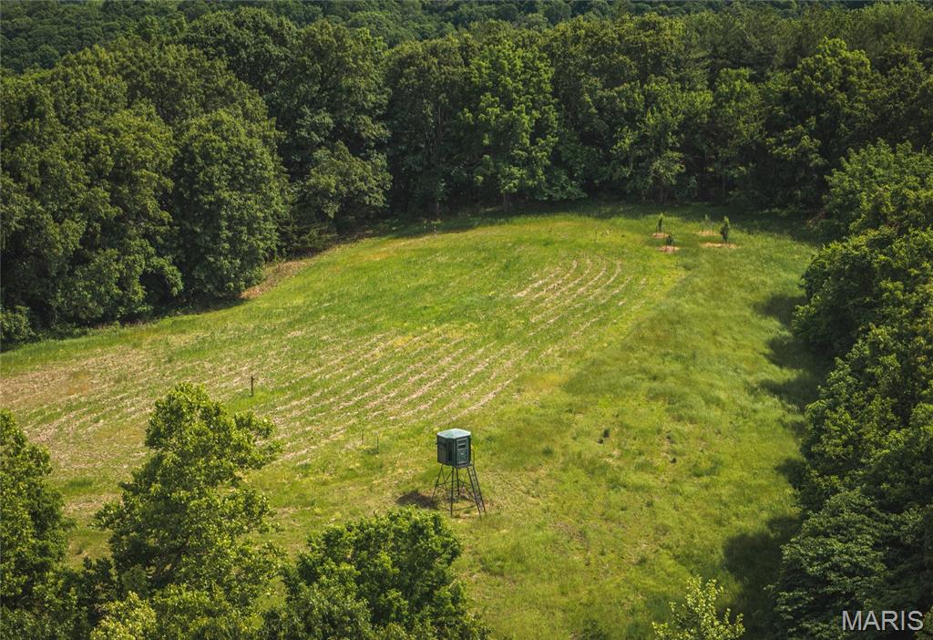 1757 Infidel Hollow Road Mozier, IL 62070 - Photo 16 of 52