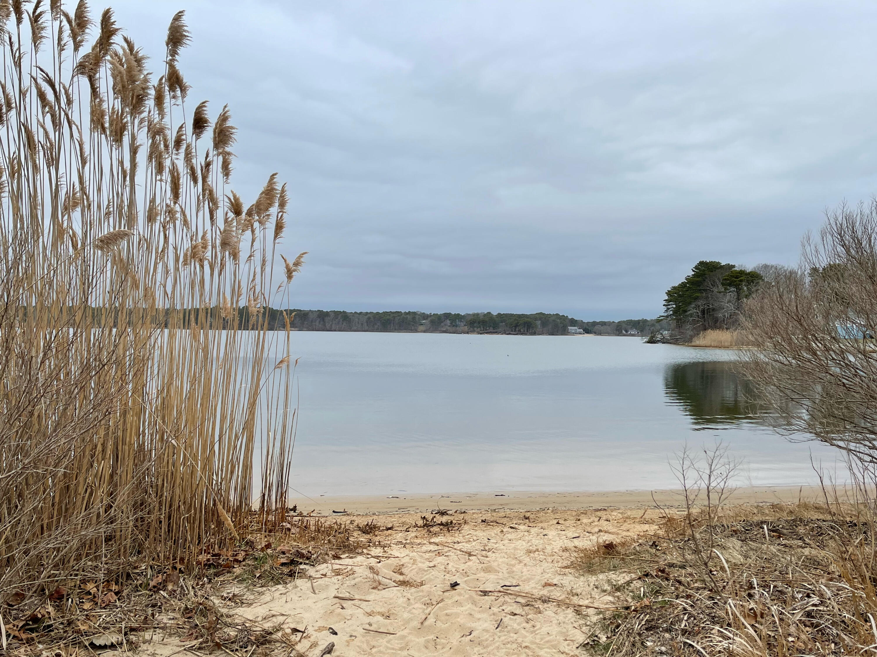 175 Telegraph Road Dennis Port, MA 02639 - Photo 5 of 12 a view of wooden floor and a lake view