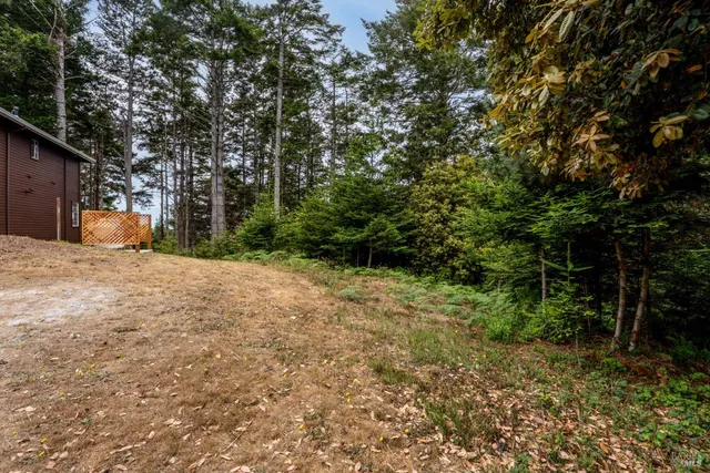 a view of a yard with plants and trees