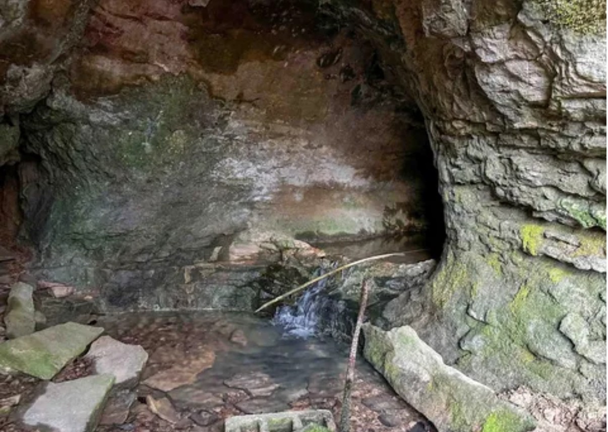 0 Davis Hollow Road Clifton, TN 38425 - Photo 11 of 16 a view of a yard with wooden fence