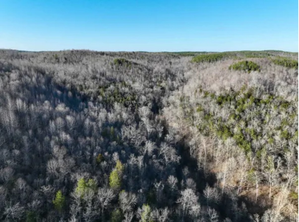 0 Davis Hollow Road Clifton, TN 38425 - Photo 4 of 16 a view of a field