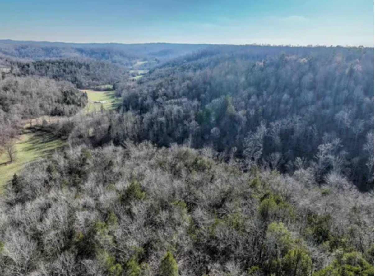 0 Davis Hollow Road Clifton, TN 38425 - Photo 6 of 16 an aerial view of house with green field and trees