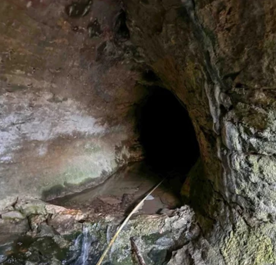 0 Davis Hollow Road Clifton, TN 38425 - Photo 8 of 16 a view of a yard