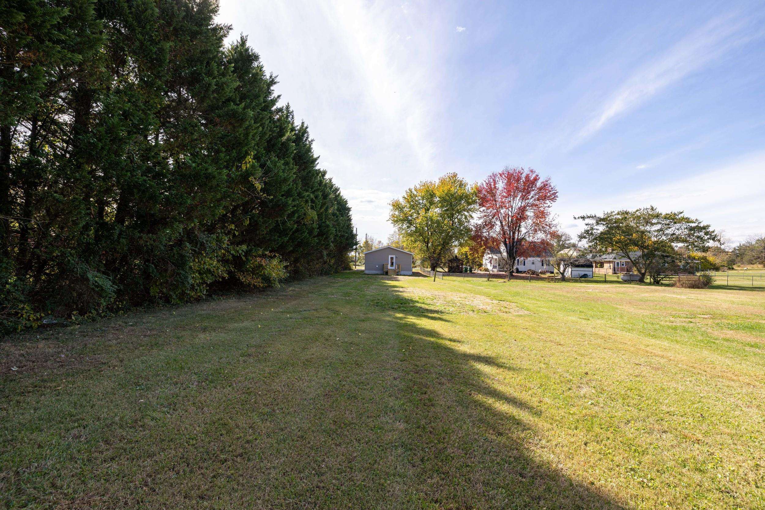 223 Fairview Road Luray, VA 22835 - Photo 51 of 63