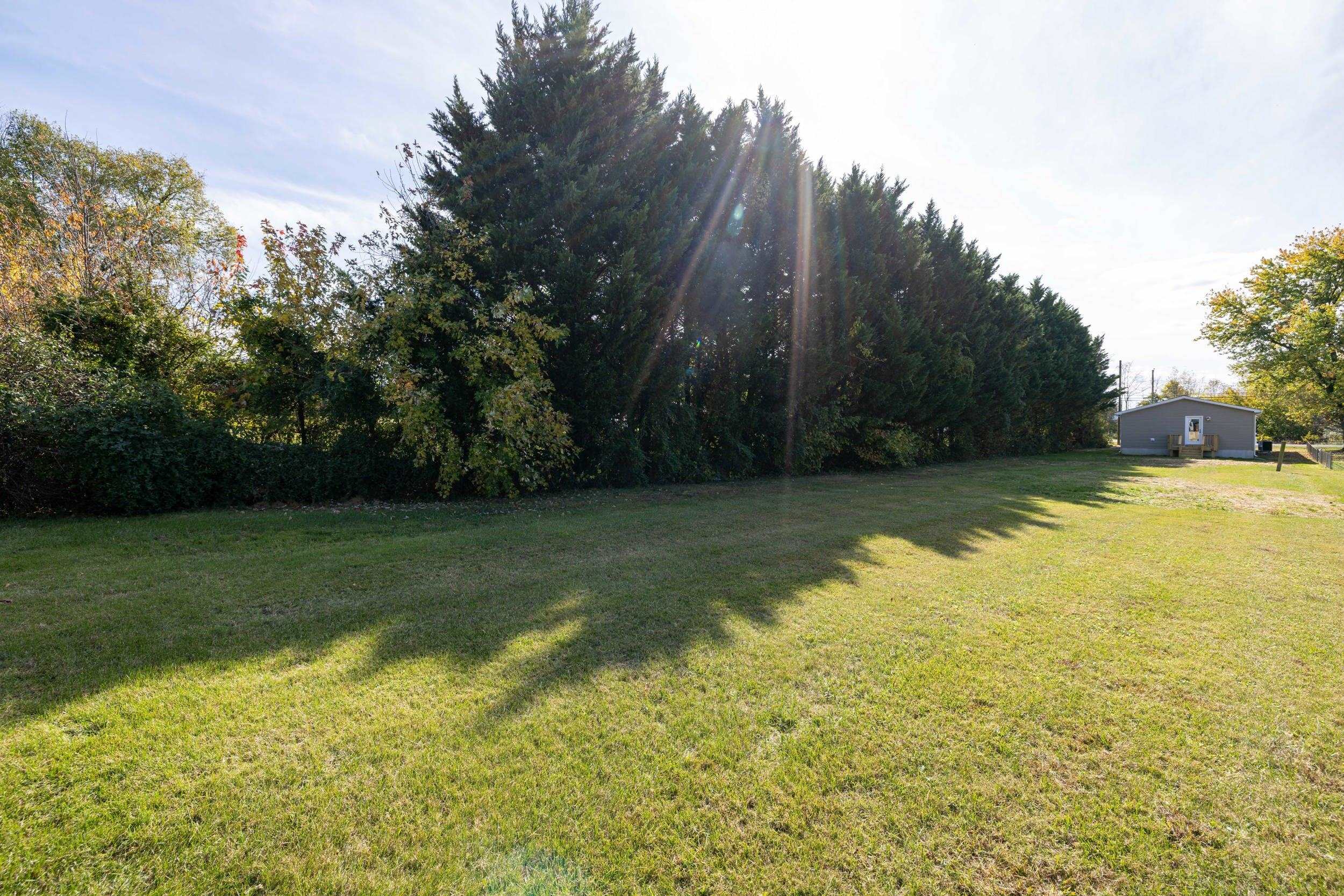 223 Fairview Road Luray, VA 22835 - Photo 53 of 63