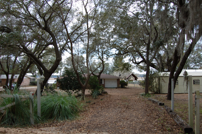 6970 Gatorbone Road Keystone Heights, FL 32656 - Photo 16 of 19 Drive Way