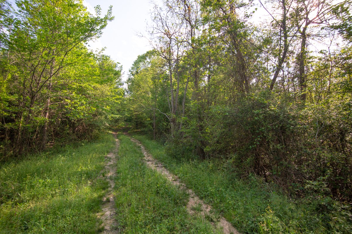 Tbd Calvary Road Willis, TX 77318 - Photo 22 of 22 Gallery Image 22
