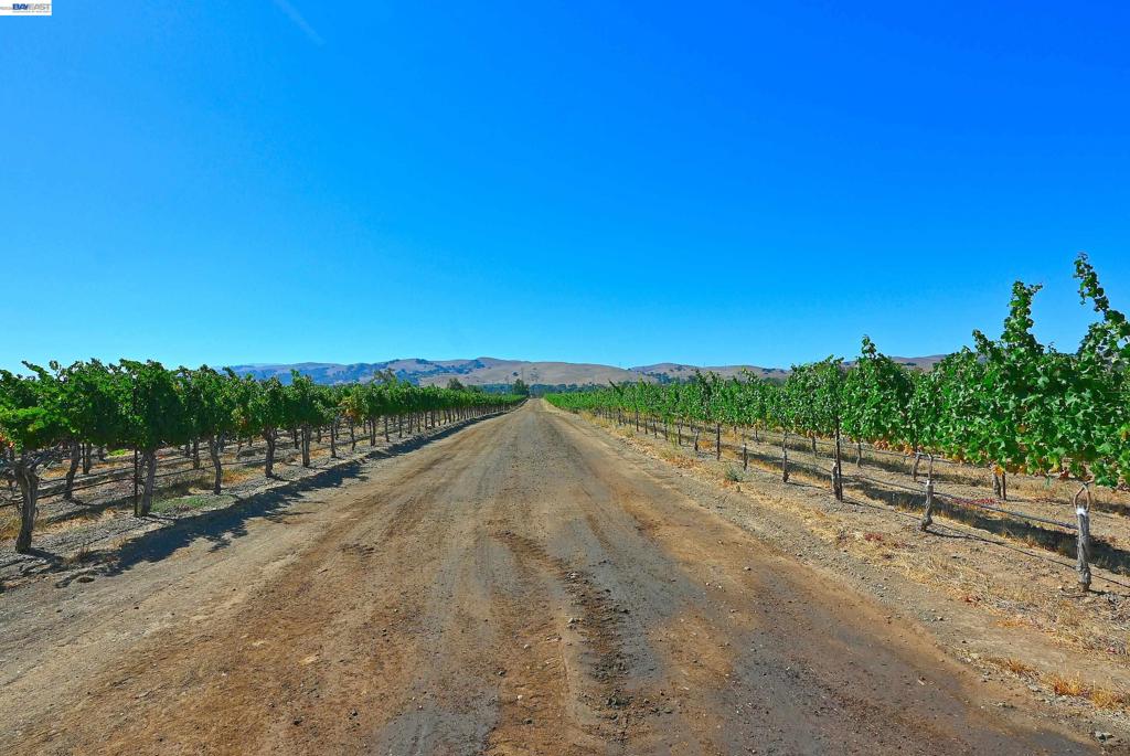 00 Arroyo Road Livermore, CA 94550 - Photo 12 of 31 Gallery Image 12