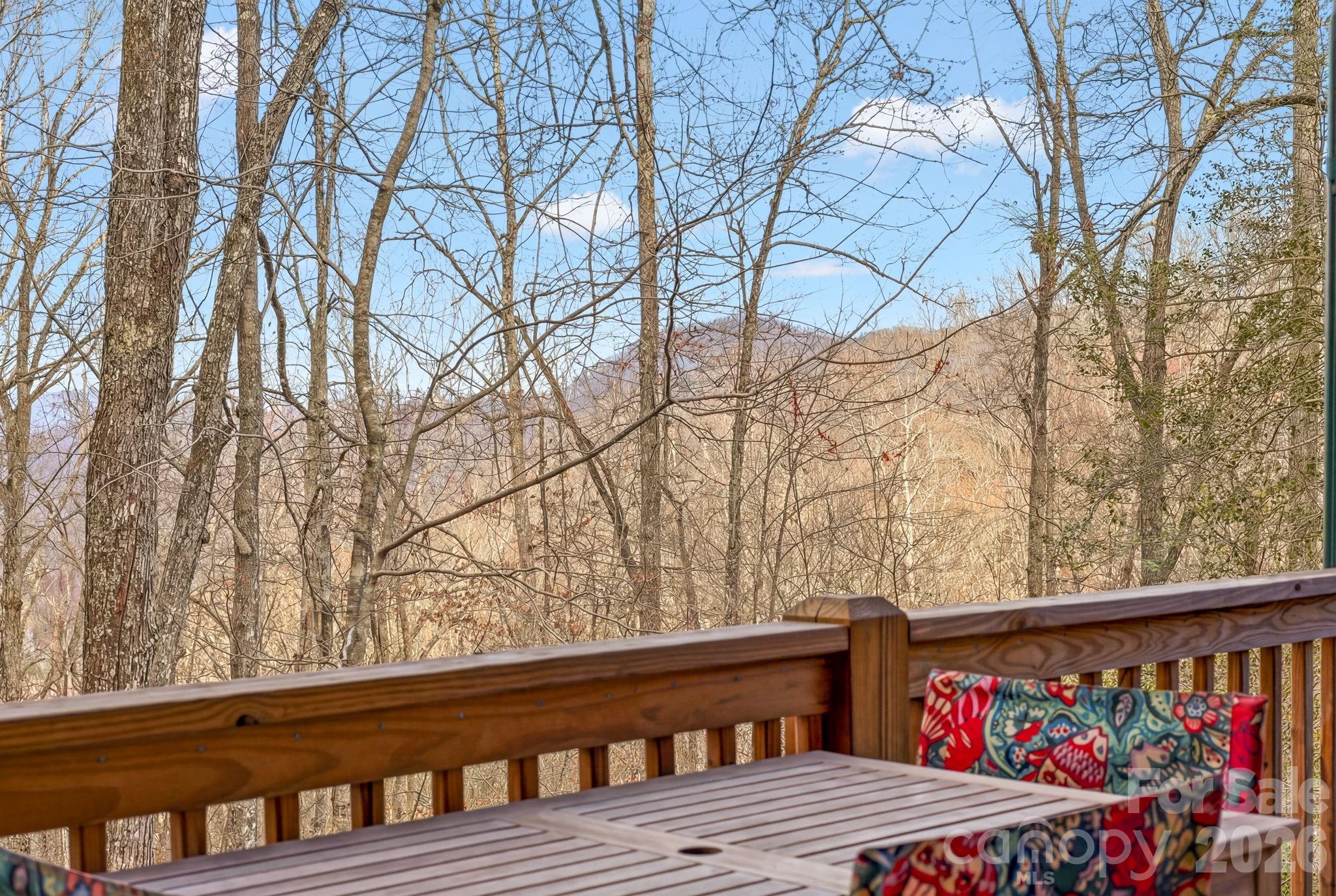 2015 Bettys Creek Road Sylva, NC 28779 - Photo 32 of 45