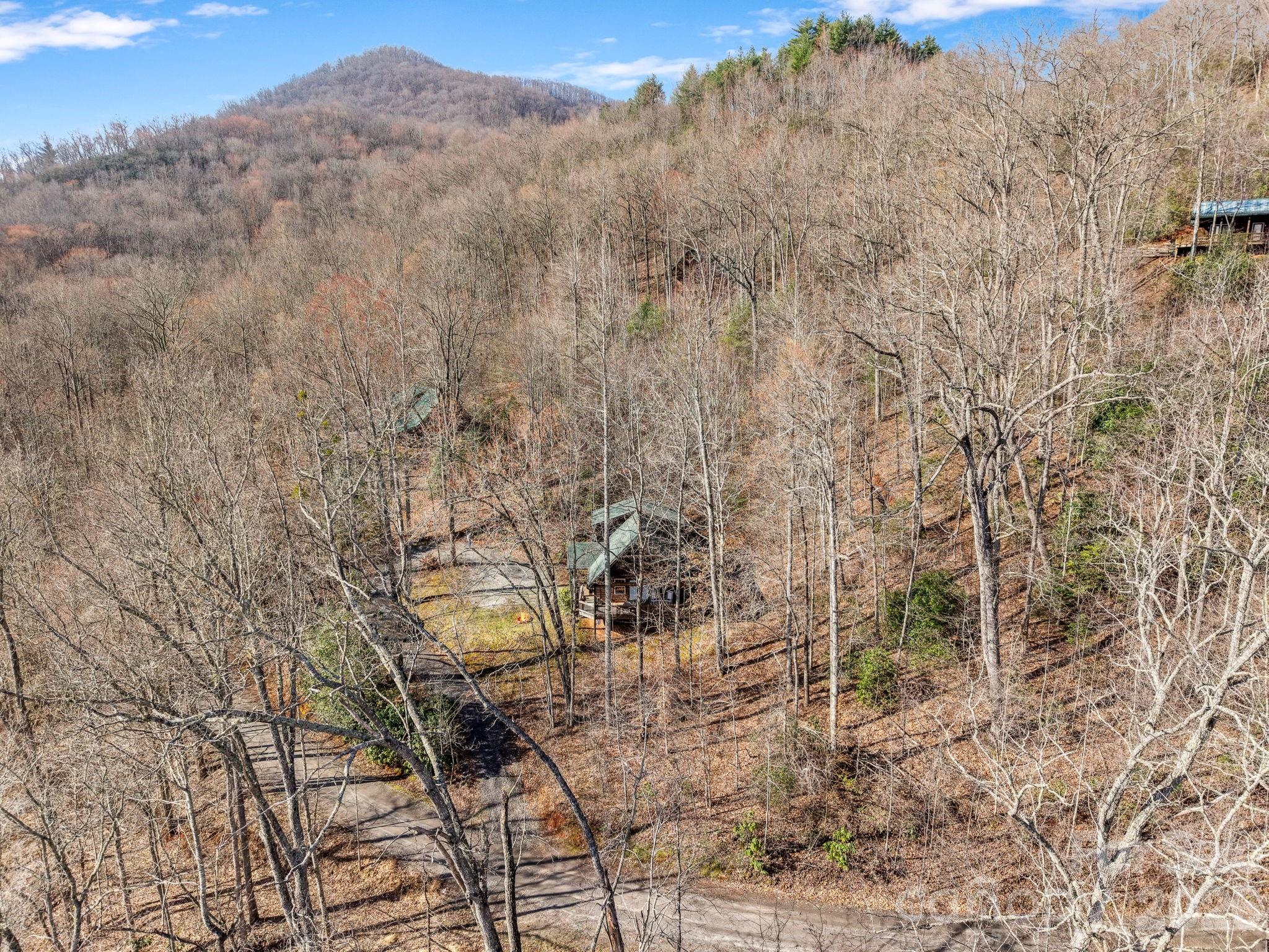 2015 Bettys Creek Road Sylva, NC 28779 - Photo 43 of 45