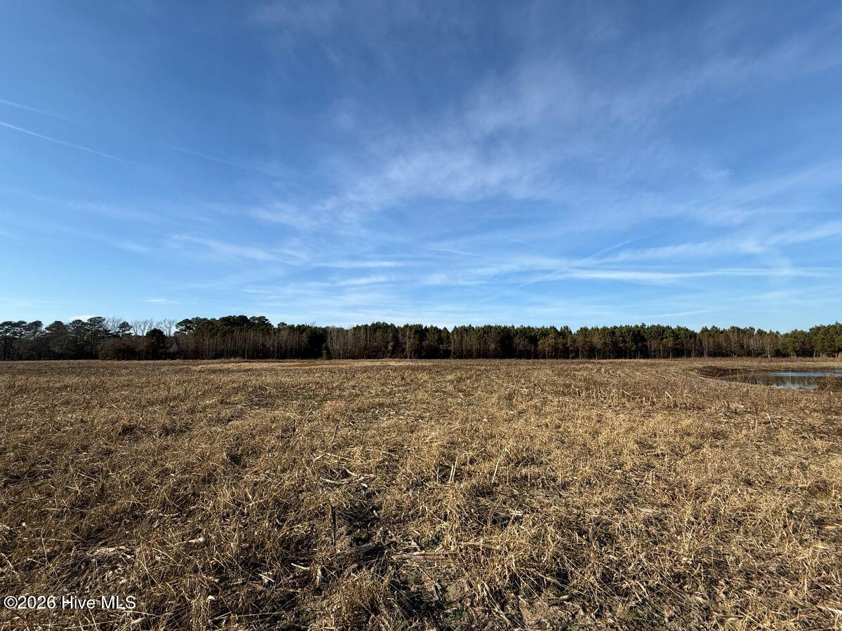 0 Center Road Bladenboro, NC 28320 - Photo 52 of 56 52