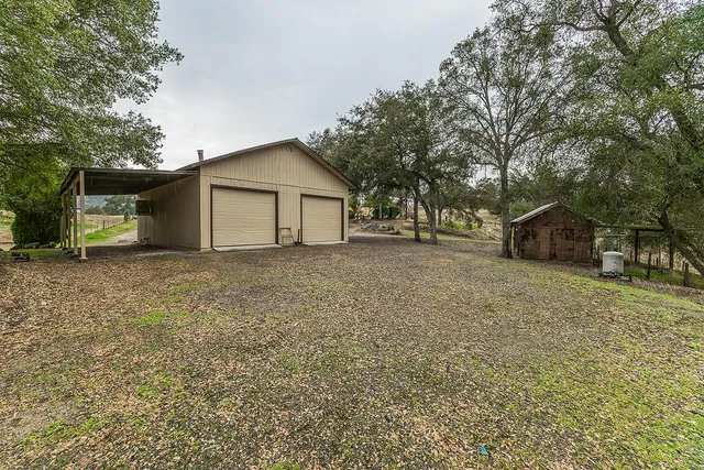 a view of a backyard with plants and a patio