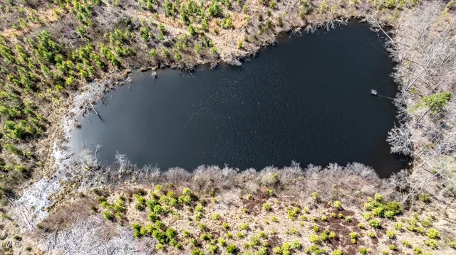 a view of a bunch of flowers