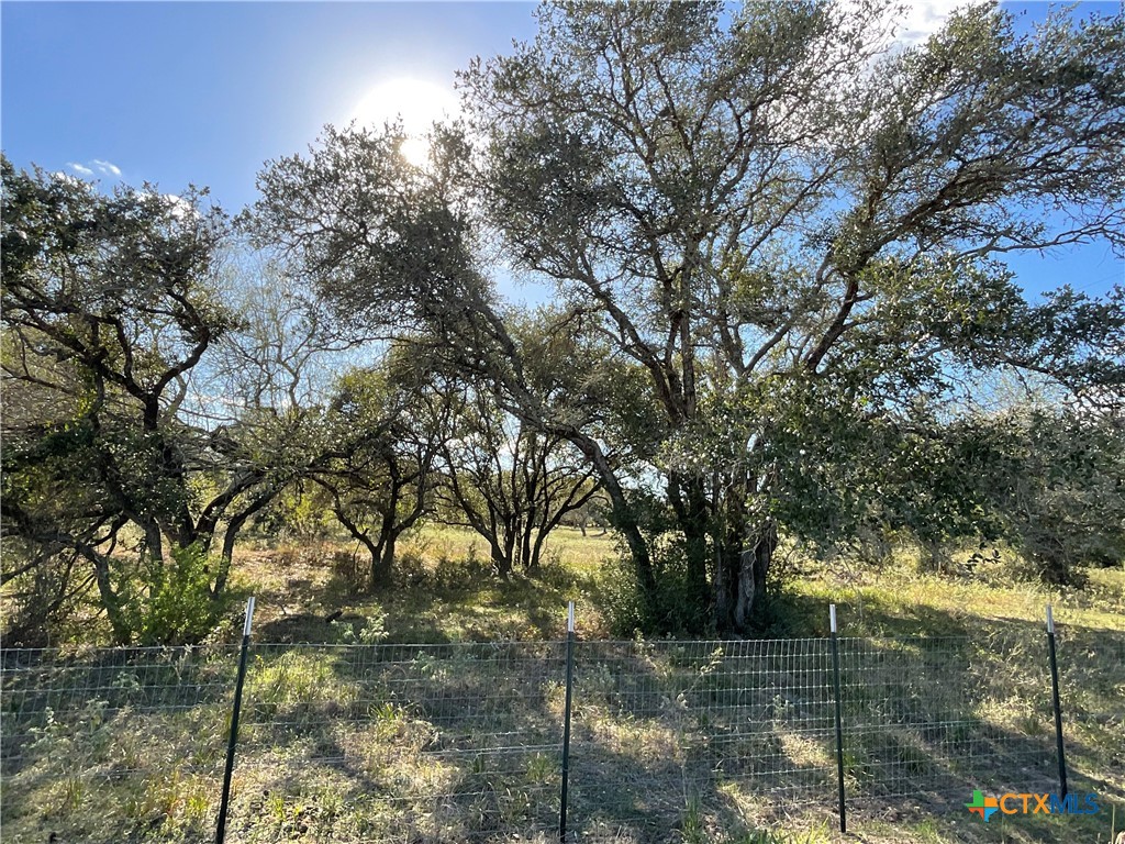 389 Hausmann Road Cuero, TX 77954 - Photo 2 of 48 a picture of trees