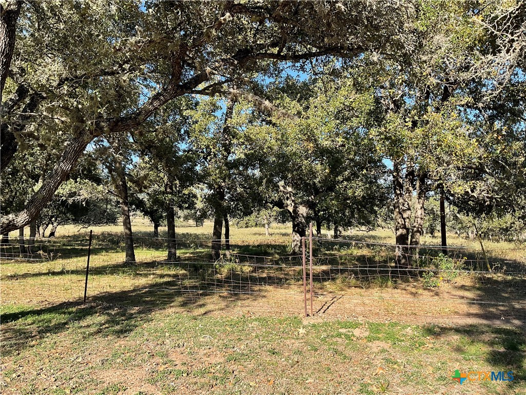 389 Hausmann Road Cuero, TX 77954 - Photo 6 of 48 a view of outdoor space with trees