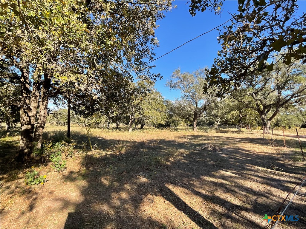 389 Hausmann Road Cuero, TX 77954 - Photo 7 of 48 a view of yard with green space