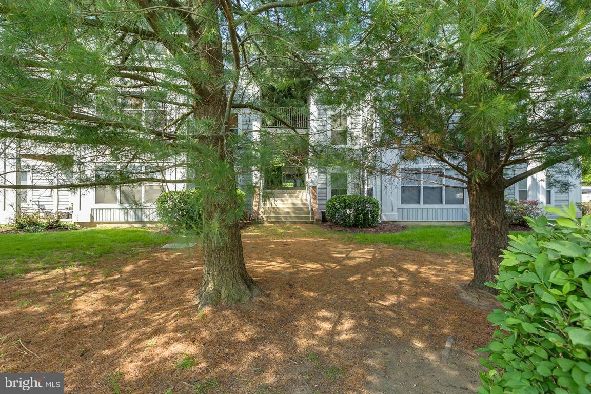 2603 Camelback Lane, Unit 39 Silver Spring, MD 20906 - Photo 24 of 29 Exterior (Rear)