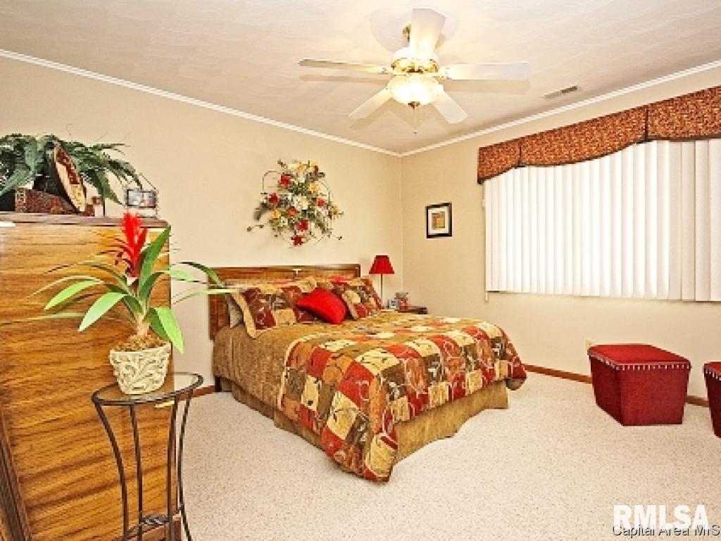 805 Fairfax Court Springfield, IL 62702 - Photo 17 of 30