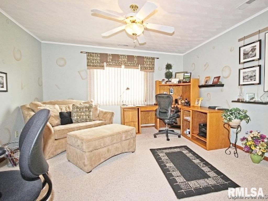 805 Fairfax Court Springfield, IL 62702 - Photo 19 of 30