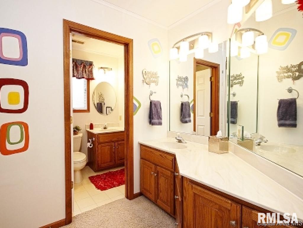 805 Fairfax Court Springfield, IL 62702 - Photo 21 of 30