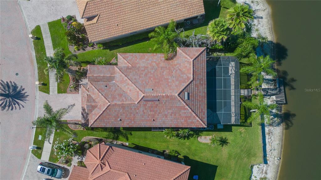 18018 Java Isle Drive Tampa, FL 33647 - Photo 11 of 14