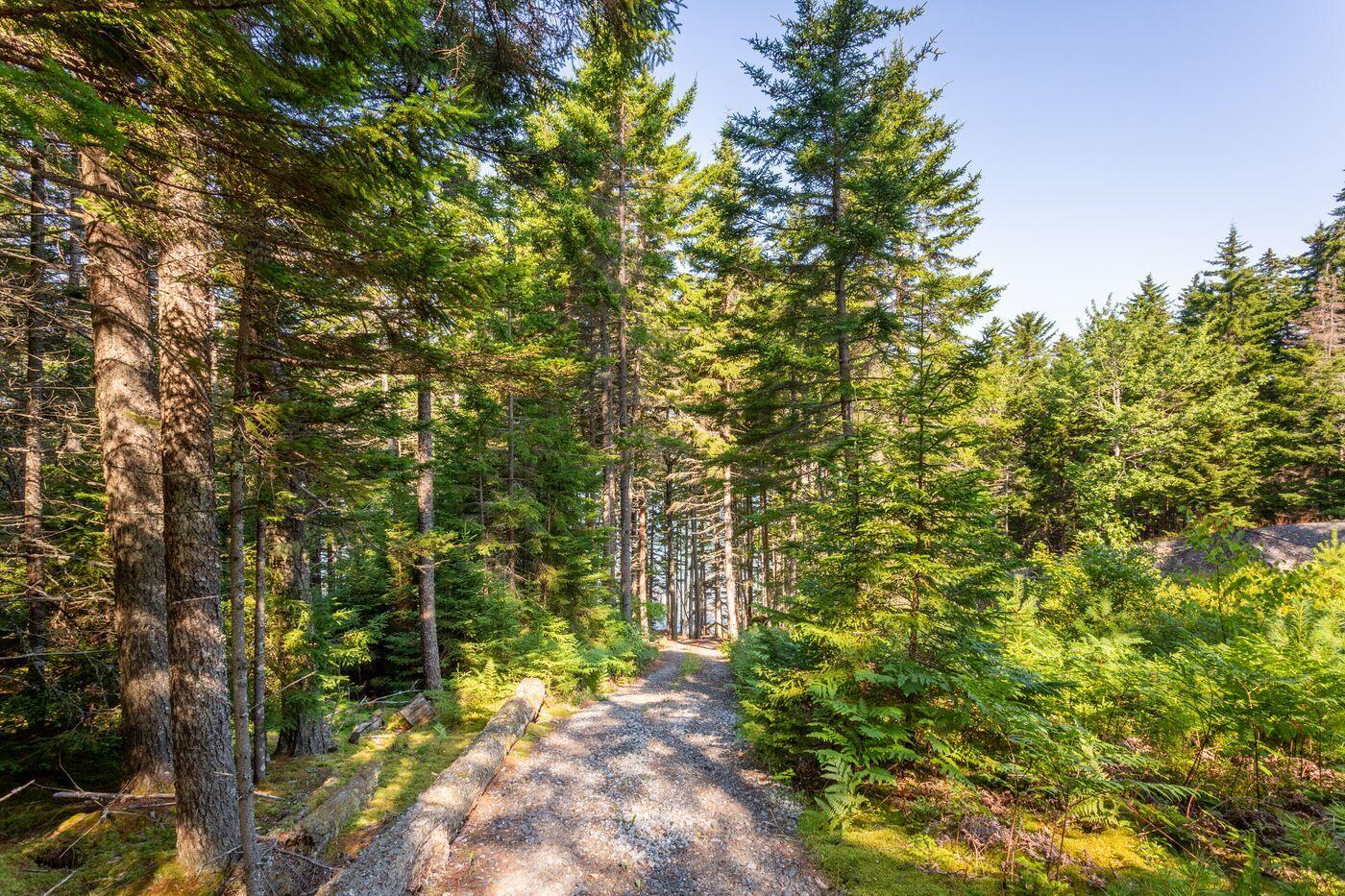 149 Forest Lake Road Friendship, ME 04547 - Photo 26 of 33 W27-ME1965_26