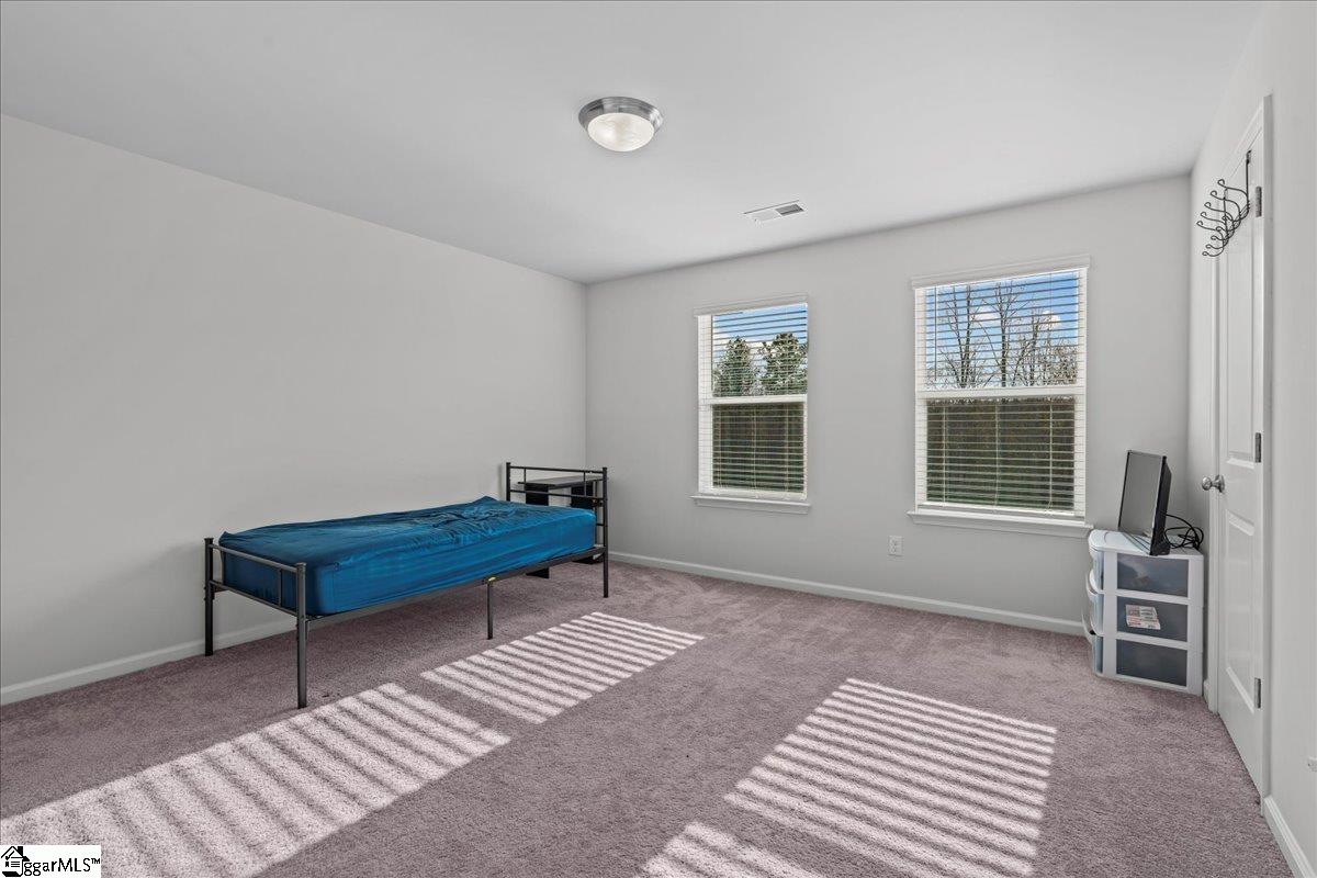 1 Apollo View Lane Greenville, SC 29607 - Photo 11 of 19