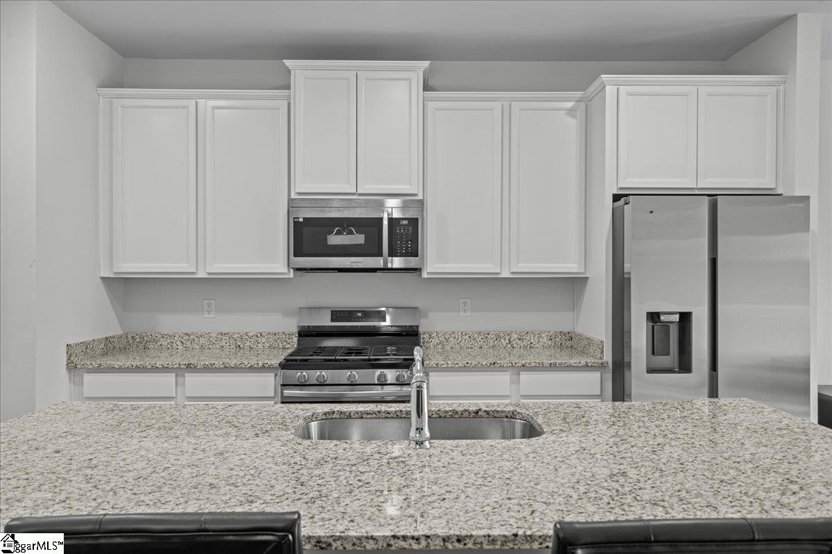 1 Apollo View Lane Greenville, SC 29607 - Photo 2 of 19