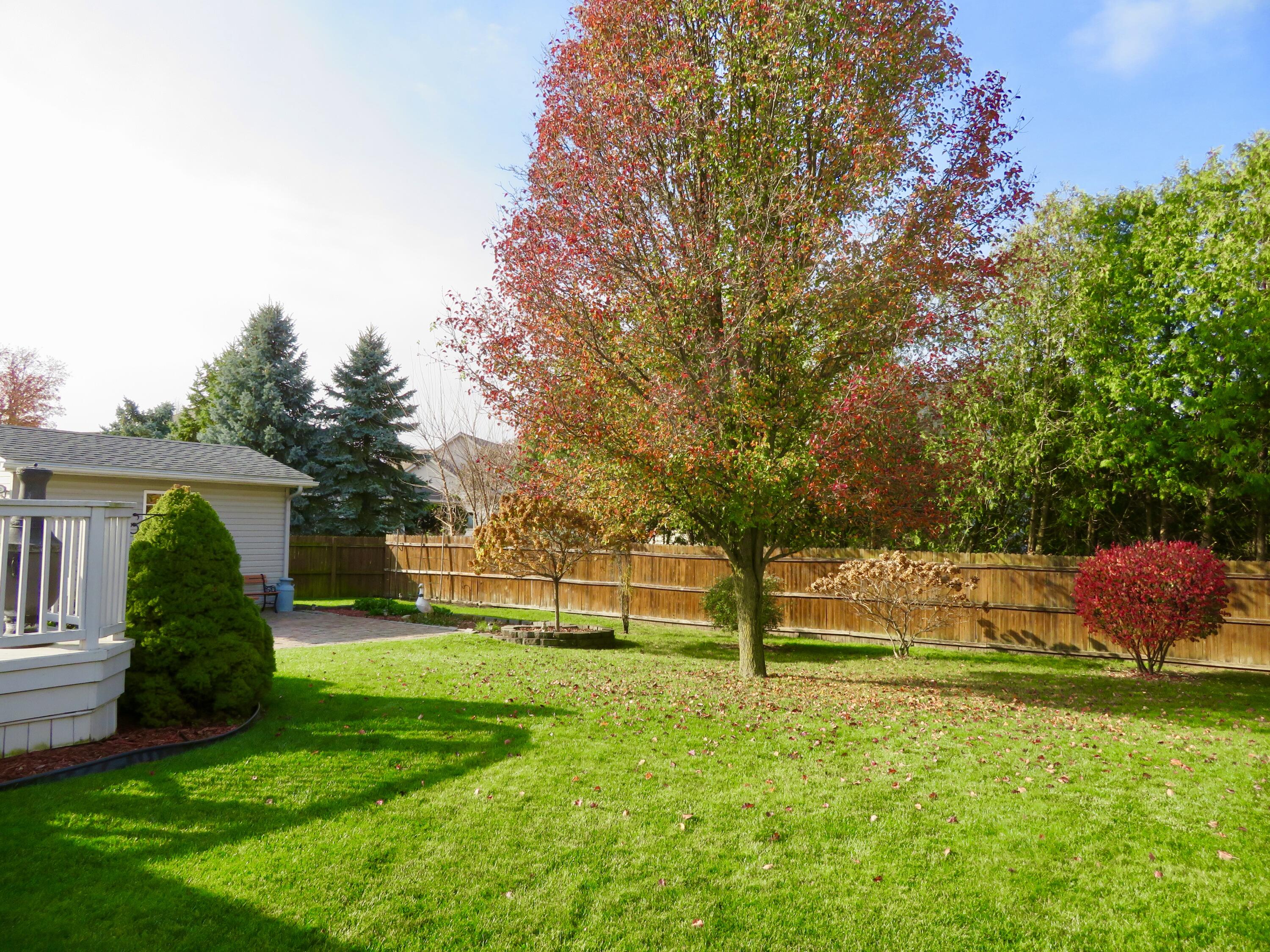 15513 Rutherford Boulevard Monroe, MI 48161 - Photo 11 of 54 fullsizeoutput_6c