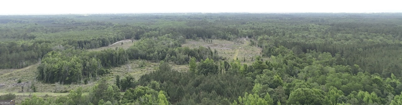 0 Duck Pond Road Sylvania, GA 30467 - Photo 5 of 8 a view of a lush green field