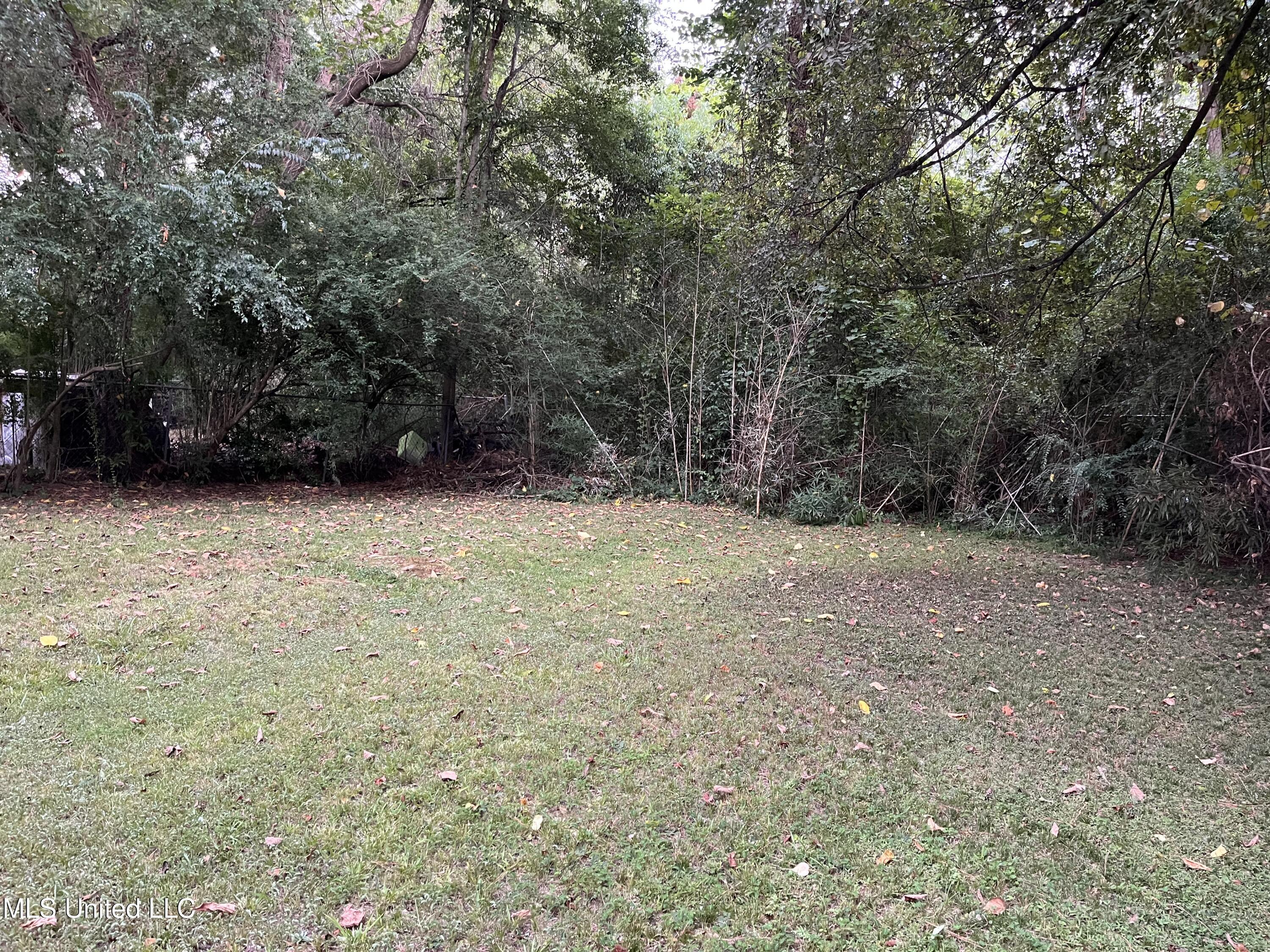 3125 Jayne Avenue Jackson, MS 39209 - Photo 25 of 25 IMG_0568