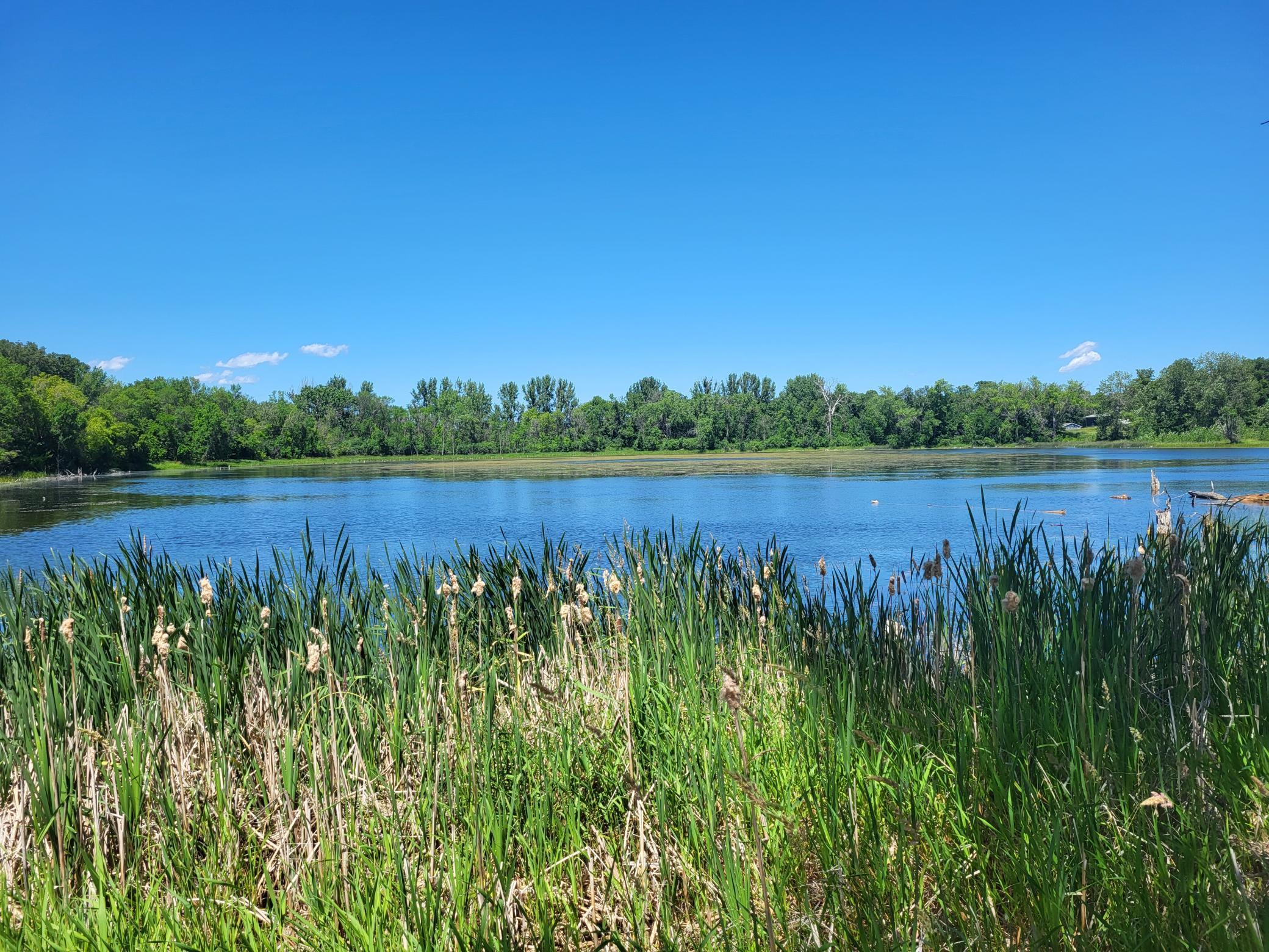1 Fergus Falls Fergus Falls, MN 56537 - Photo 1 of 1