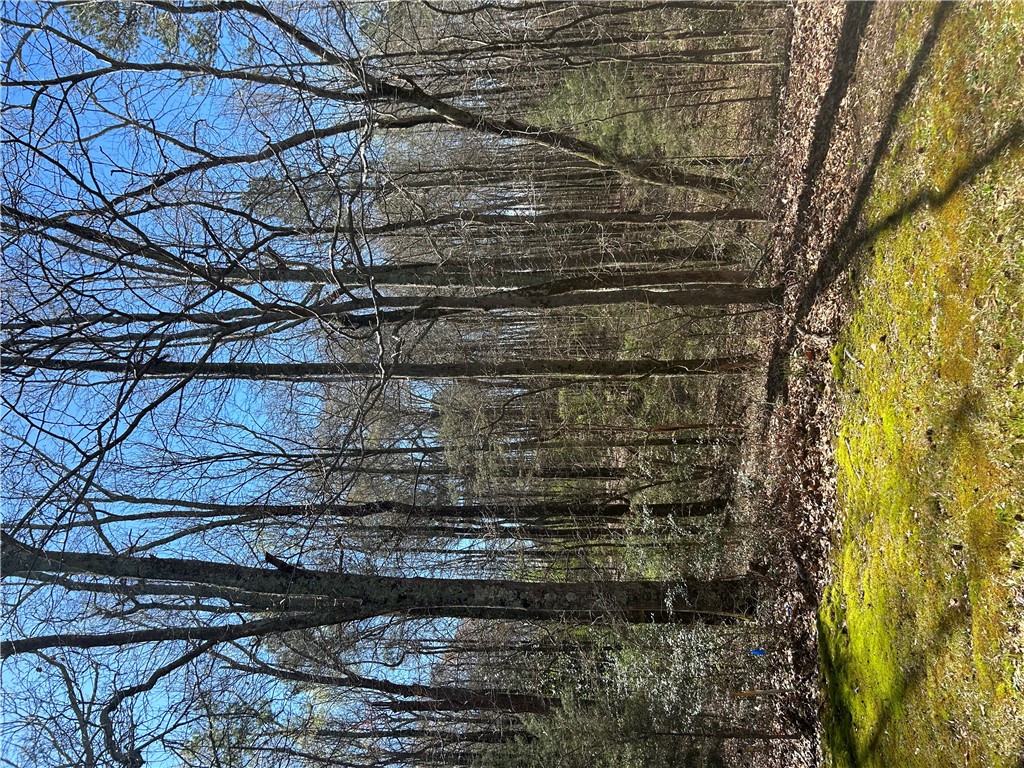 0 Harts Mill Road Hartwell, GA 30643 - Photo 2 of 3 Expansive, wooded lot offering a serene natural backdrop for your future home.