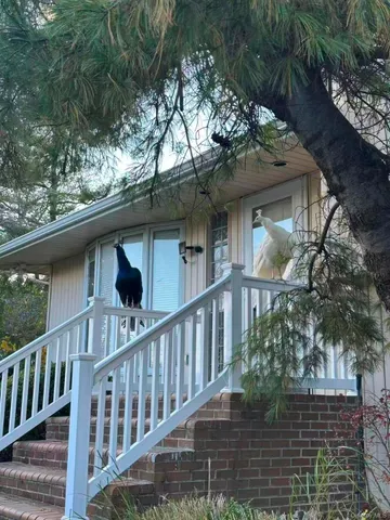 $1,598,888 | 59 Hazelwood Drive, Jericho, NY 11753