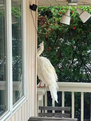 $1,598,888 | 59 Hazelwood Drive, Jericho, NY 11753