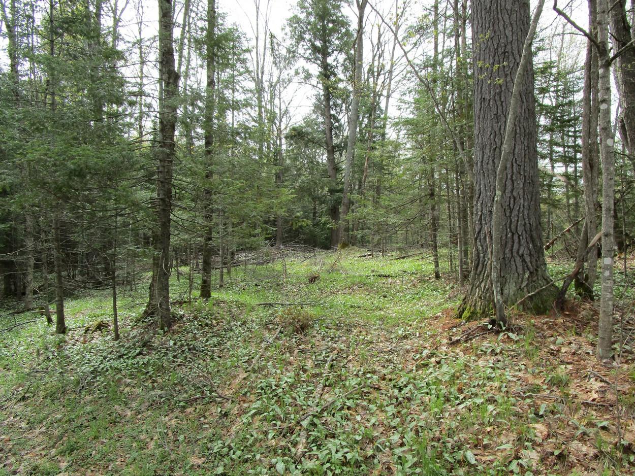 On Coveyville Road, Unit LOT Phelps, WI 54554 - Photo 2 of 4 Gallery Image 2