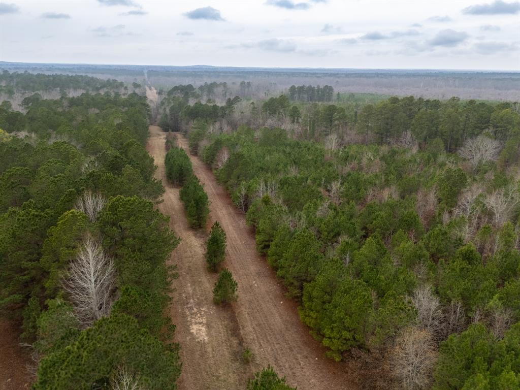 0 Blocker Road Marshall, TX 75672 - Photo 2 of 24 a view of a city with lush green forest