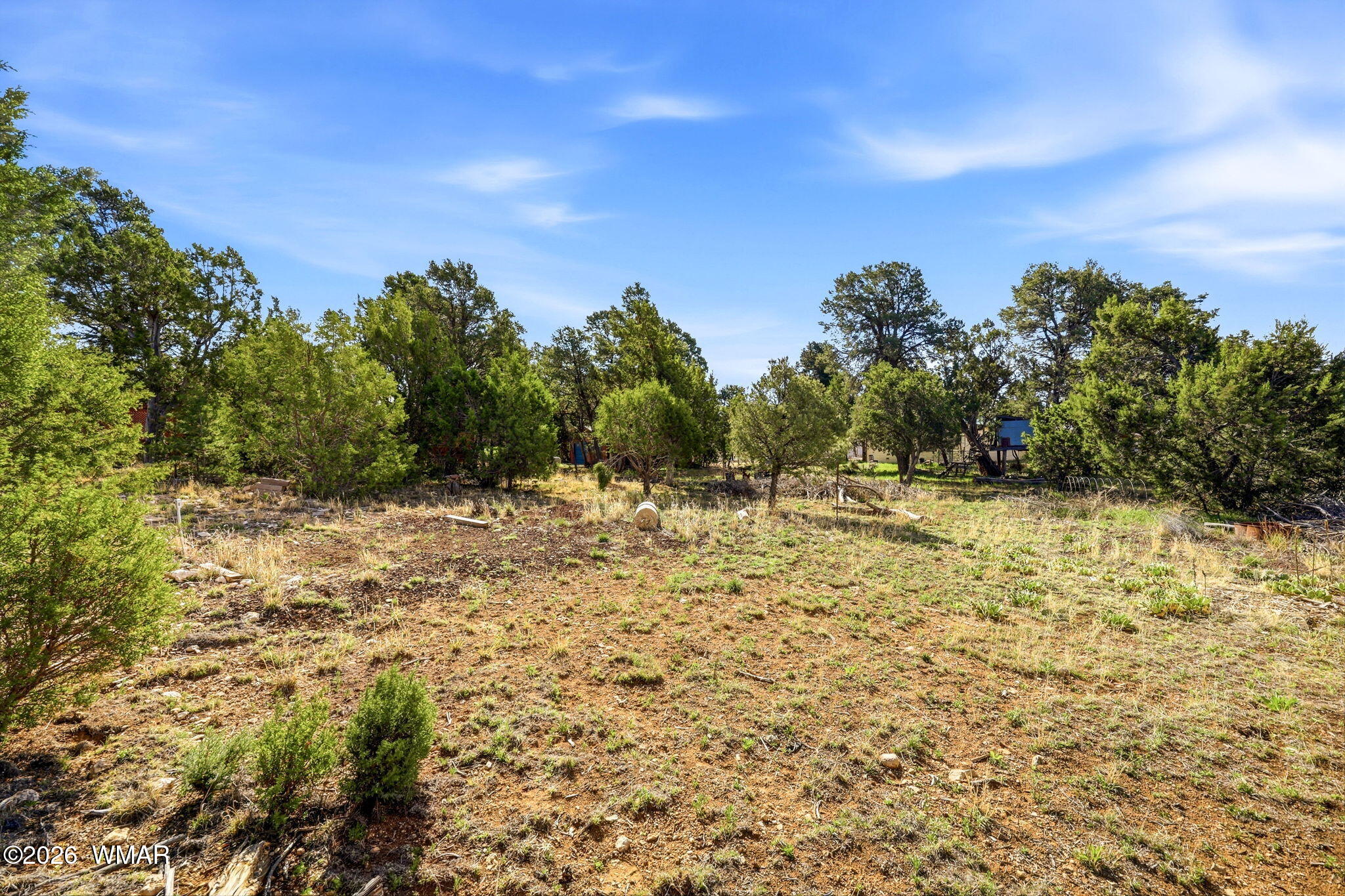 3650 Buckskin Road Overgaard, AZ 85933 - Photo 23 of 33