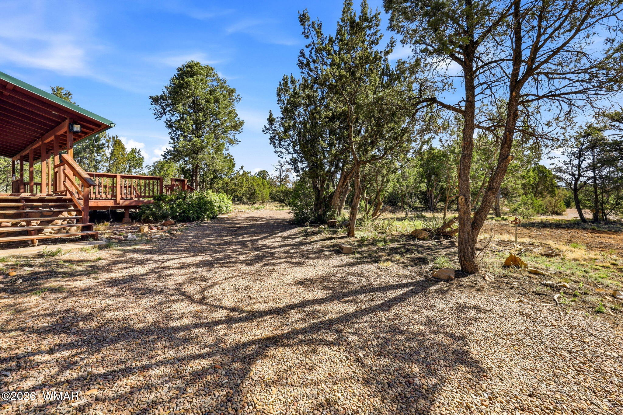 3650 Buckskin Road Overgaard, AZ 85933 - Photo 3 of 33 a view of backyard with green space