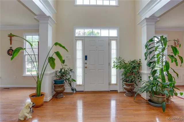 a living room filled with furniture and a potted plant