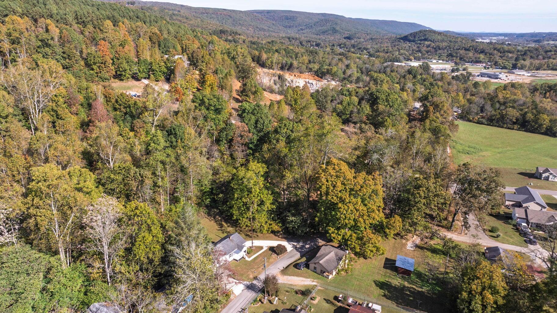 134 Riddle Street Dayton, TN 37321 - Photo 32 of 32 Aerial